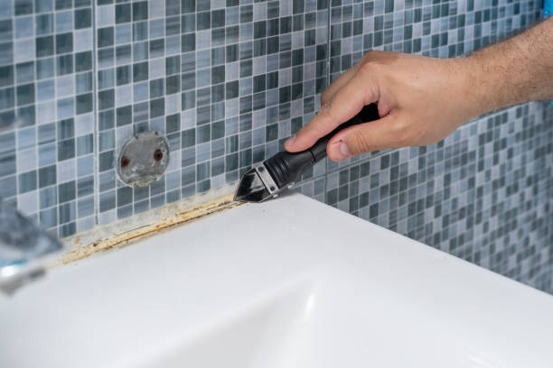 Best Local Mold Removal Service  in South Gull Lake, MI