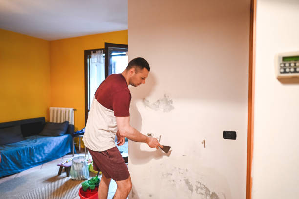 Best Emergency Mold Removal  in South Gull Lake, MI
